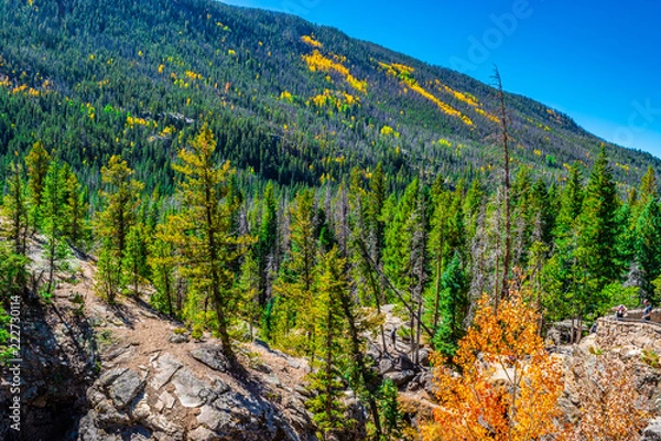Fototapeta Beautiful Fall Hike in Aspens in Grand Lake, Colorado
