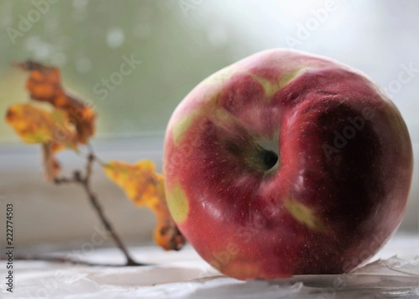 Fototapeta Ripe red apple lying on a table
