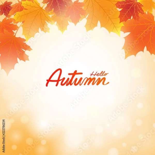 Obraz Autumn maple 004