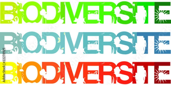 Fototapeta biodiversité