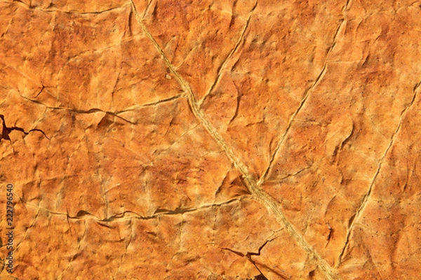 Obraz closeup of photo, dry tobacco leaves in the market