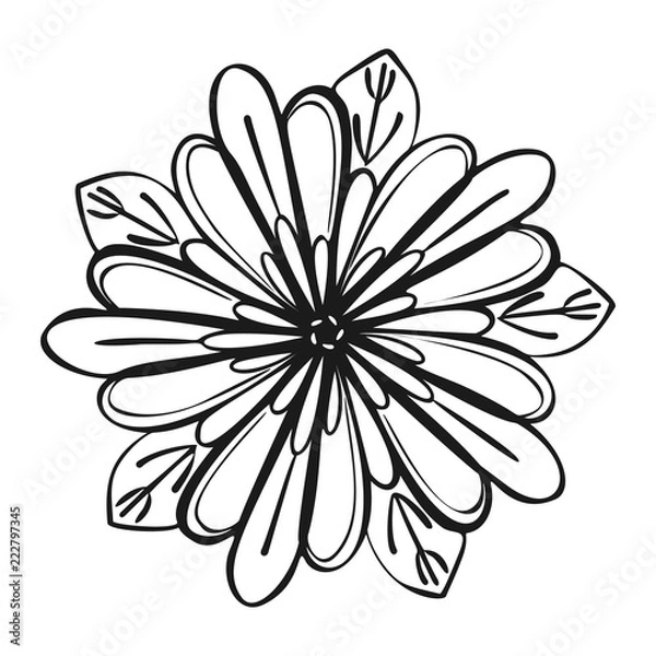 Fototapeta Exotic tropical flower icon. Simple illustration of exotic tropical flower vector icon for web design isolated on white background