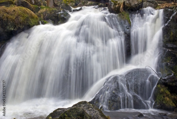 Fototapeta Triberger Wasserfall