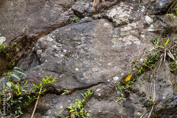Obraz Rock Cliff texture background