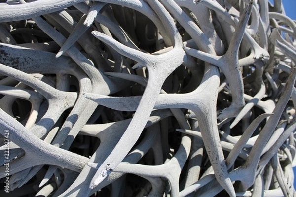 Fototapeta Antler stack