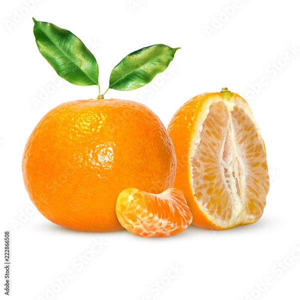 Obraz Fresh delicious mandarins, tangerine, clementine isolated on white background. Creative minimalistic food concept.