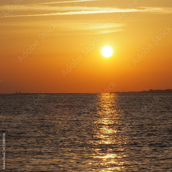 Fototapeta OLYMPUS DIGITAL CAMERA