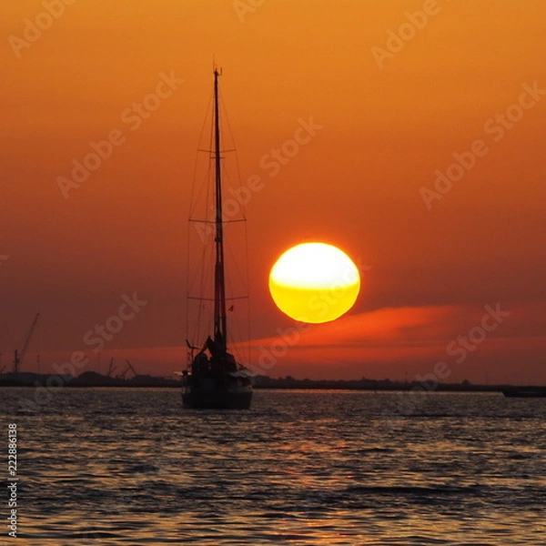 Fototapeta OLYMPUS DIGITAL CAMERA