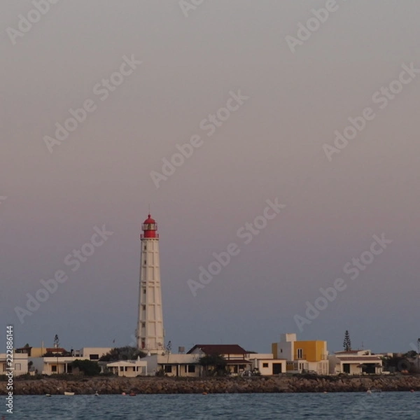 Fototapeta OLYMPUS DIGITAL CAMERA