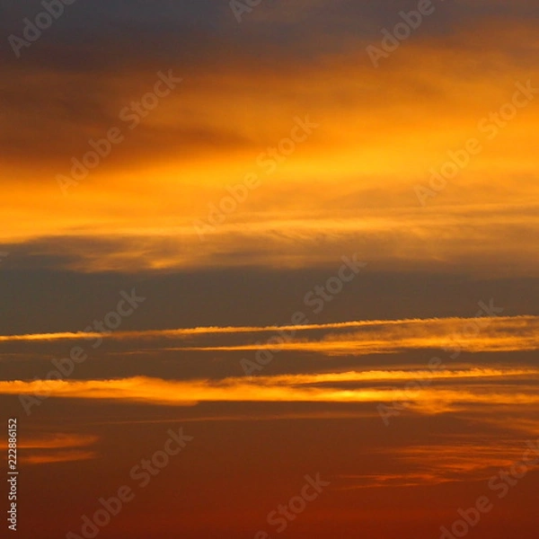 Fototapeta OLYMPUS DIGITAL CAMERA