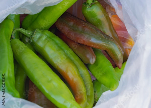 Obraz Green Chile Haul