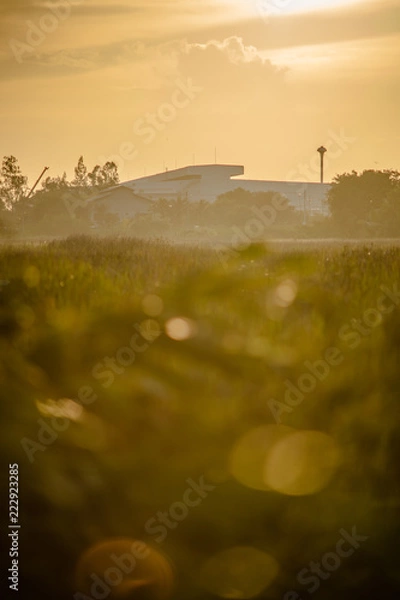 Obraz After the rain before sunset