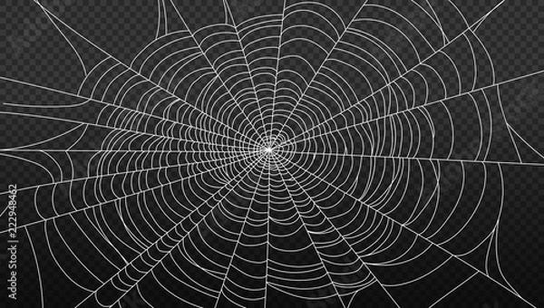 Fototapeta spider web isolated on transparent background vector illustration