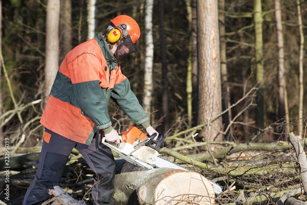 Obraz Holzfäller mit Kettensäge