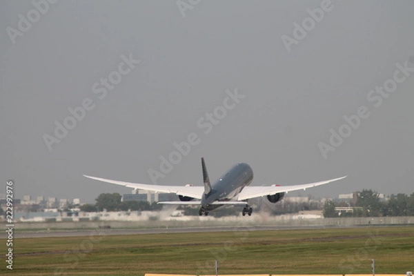 Fototapeta Décollage.