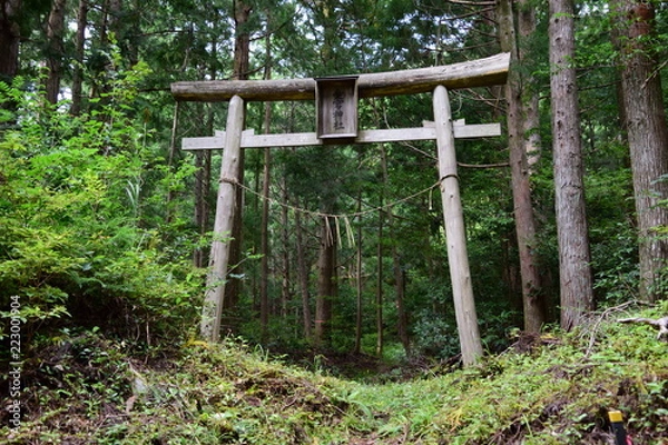 Obraz 山の神社の鳥居