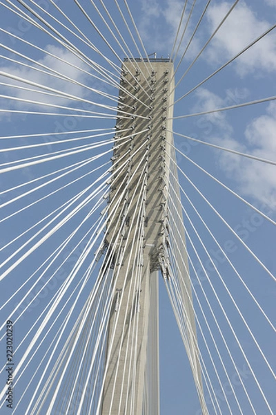 Obraz Port Mann Bridge Tower