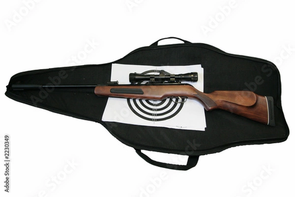 Obraz air rifle