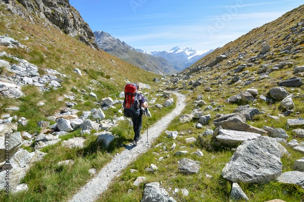 Fototapeta A hiker walking on a path in the mountain near the Matterhorn