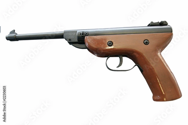 Obraz air pistol