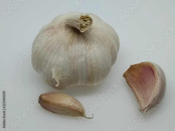 Obraz garlic on a white background