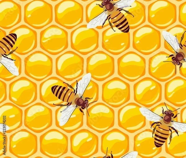 Obraz Seamless pattern with bees and honeycomb. Honey. Useful insects. Vector.
