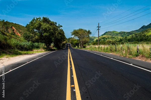 Obraz road in the forest