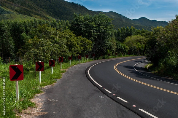 Obraz road in the forest