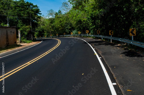 Obraz road in the forest