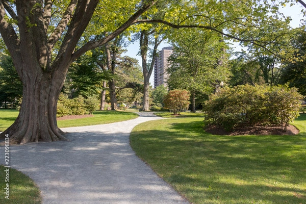 Obraz path in the park