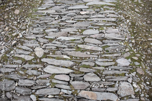 Fototapeta mountain path