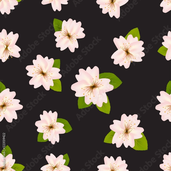 Fototapeta Spring cherry blossoms. Seamless pattern with Japanese sakura. Pink flowers on black background. Romantic Vector illustration.