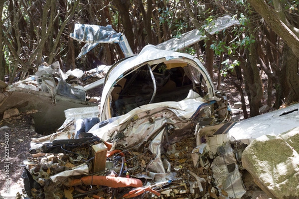 Obraz Avioneta estrellada