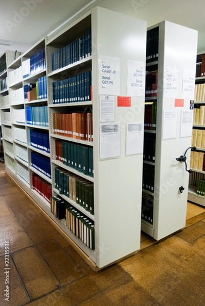 Obraz Universty Library