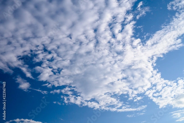 Fototapeta 秋空の雲