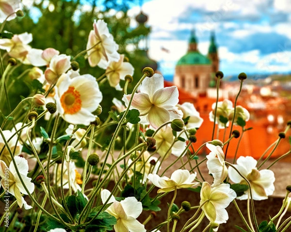 Obraz Aerial view of Prague from Prague Castle. Prague, Czech Republic. Beautiful sunset with flowers