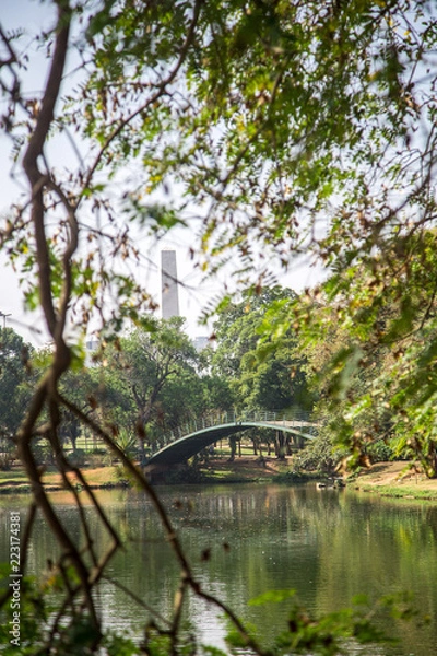Fototapeta Ibirapuera's bridge with trees in the background and a big lake in the ground, in São Paulo. City, tourism, peaceful place, parks, is the concept