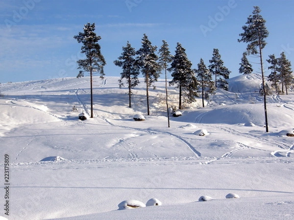 Obraz skiing in the mountains