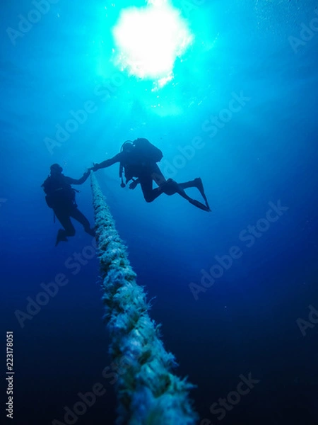 Fototapeta Scuba Divers Descending Holding a Rope to a Shipwreck in the Red Sea in Egypt