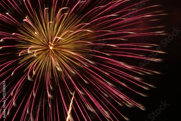 Fototapeta 打ち上げ花火　アップ