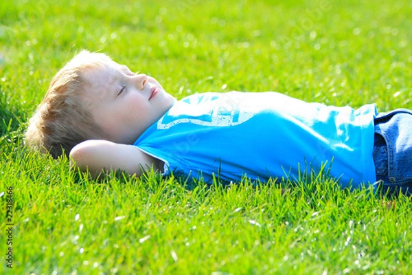 Obraz child in the meadow