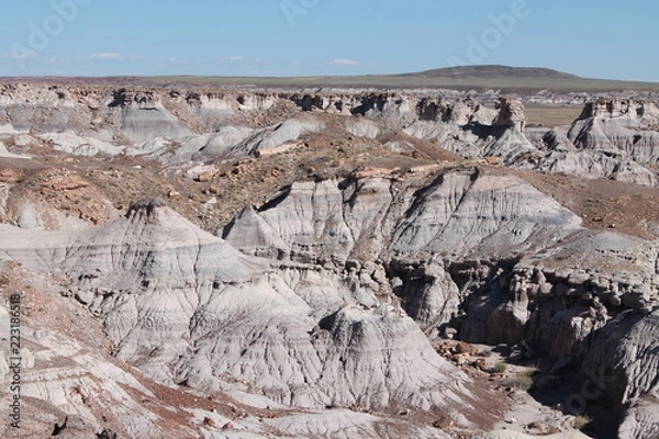 Obraz 化石の森国立公園
