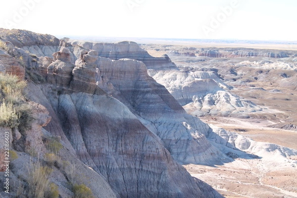 Obraz 化石の森国立公園