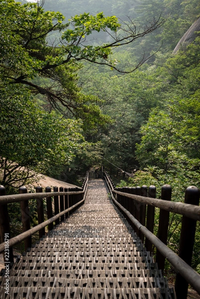 Fototapeta Strais leading down to the jungle in Bukhansan Seoul