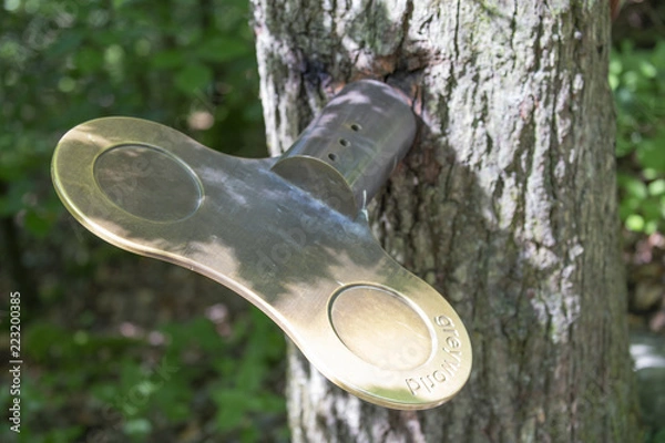 Fototapeta clockwork tree