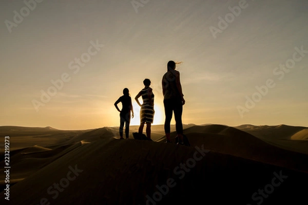 Obraz Fun in the desert sunset