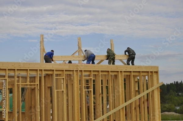 Obraz pigeons on the roof