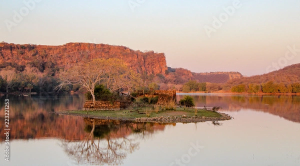 Obraz Ranthambore beauty