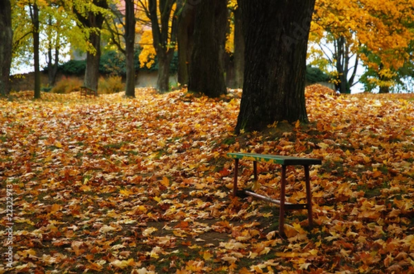 Obraz Alley in autumn