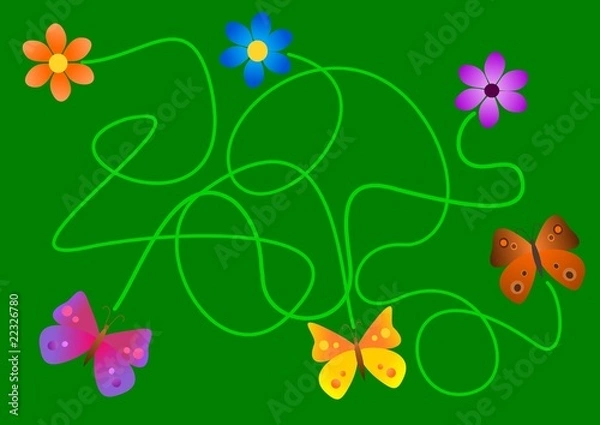 Obraz Which butterfly does fly which flower to?
